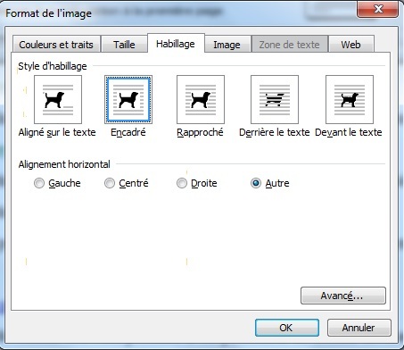 format d'image