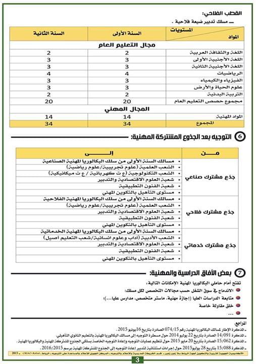 التوجيه إلى مسالك البكالوريا المهنية 2016 بالمغرب
