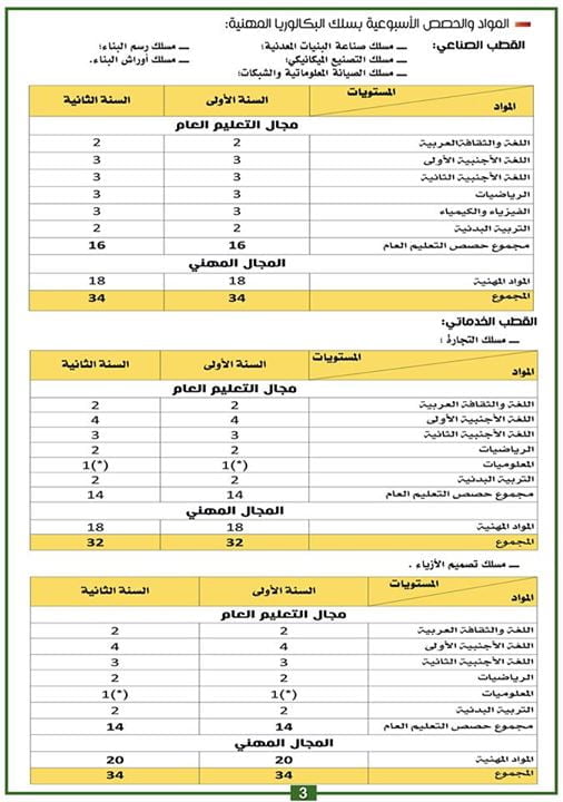 التوجيه إلى مسالك البكالوريا المهنية بالمغرب