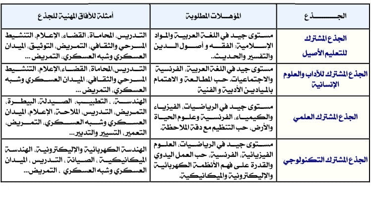 المؤهلات المطلوبة حسب كل جذع مشترك