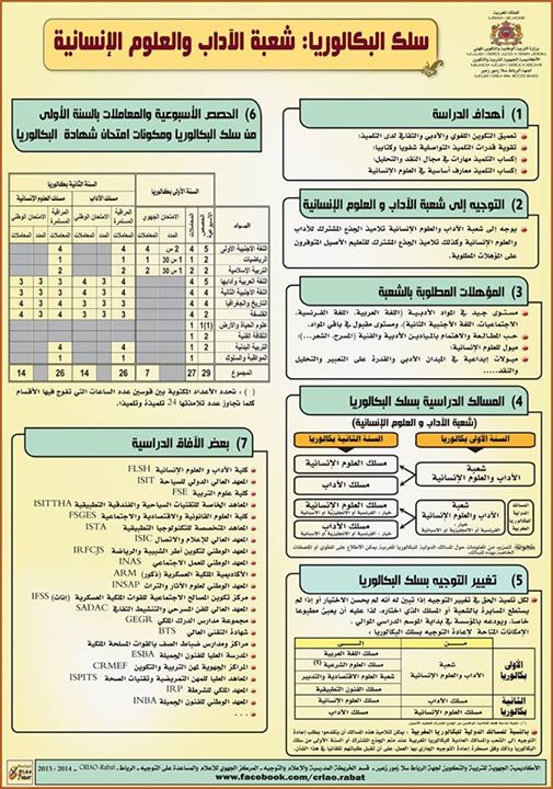 الآفاق الدراسية لشعبة الآداب والعلوم الإنسانية ما بعد البكالوريا