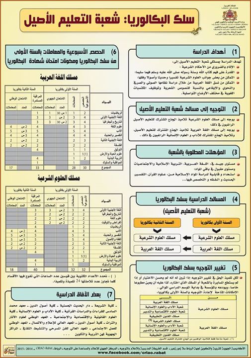 الآفاق الدراسية لشعبة التعليم الأصيل ما بعد البكالوريا