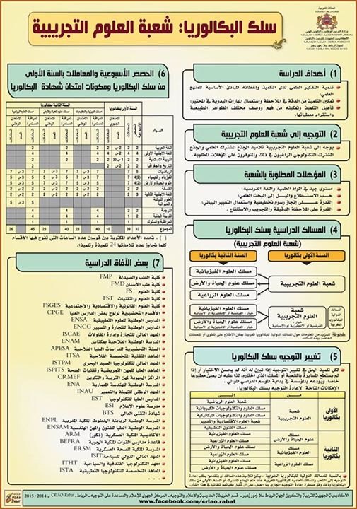 الآفاق الدراسية لشعبة العلوم التجريبية ما بعد البكالوريا