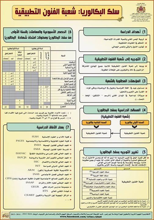 الآفاق الدراسية لشعبة الفنون التطبيقية ما بعد البكالوريا