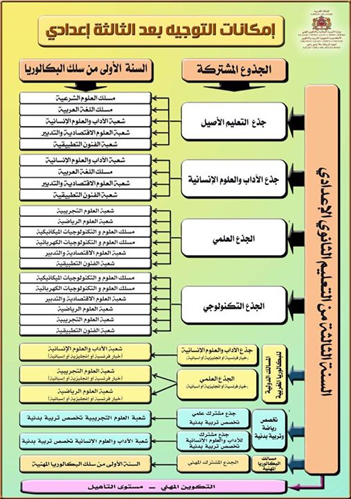 إمكانات التوجيه بعد الثالثة إعدادي 2015