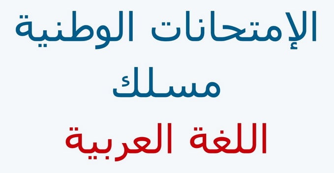 الإنجازات النموذجية في إمتحانات البكالوريا مسلك اللغة العربية
