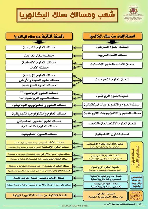 شعب ومسالك سلك البكالوريا
