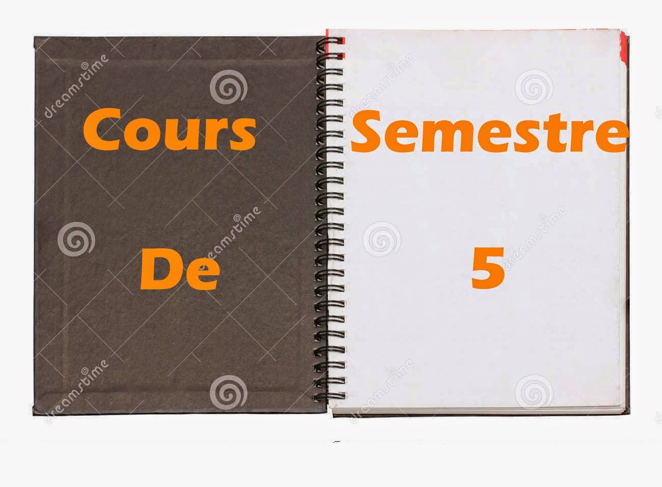 Cours Économie et Gestion FSJES Semestre 5