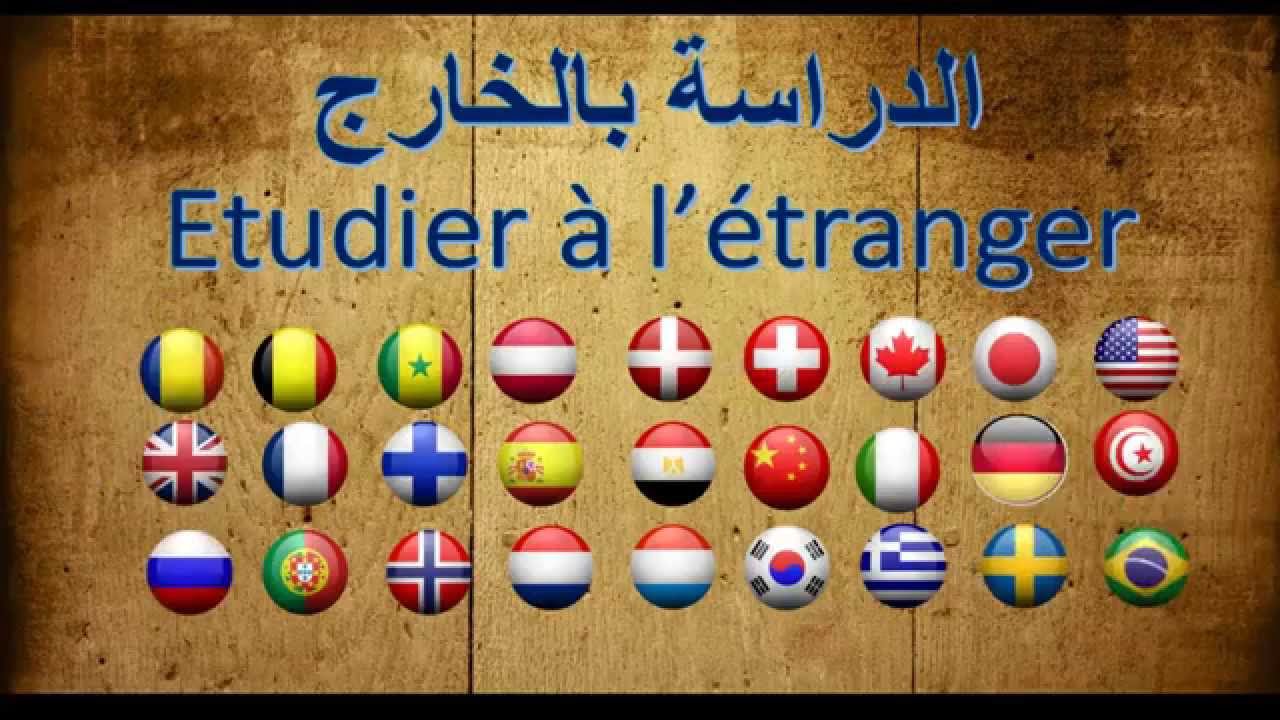 الدراسة في تونس
